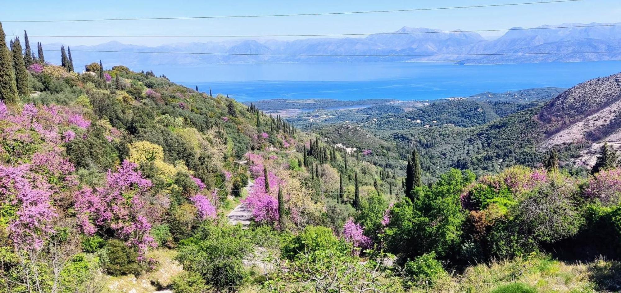Ferienwohnung Castello Di Lafki Corfu  Exterior foto